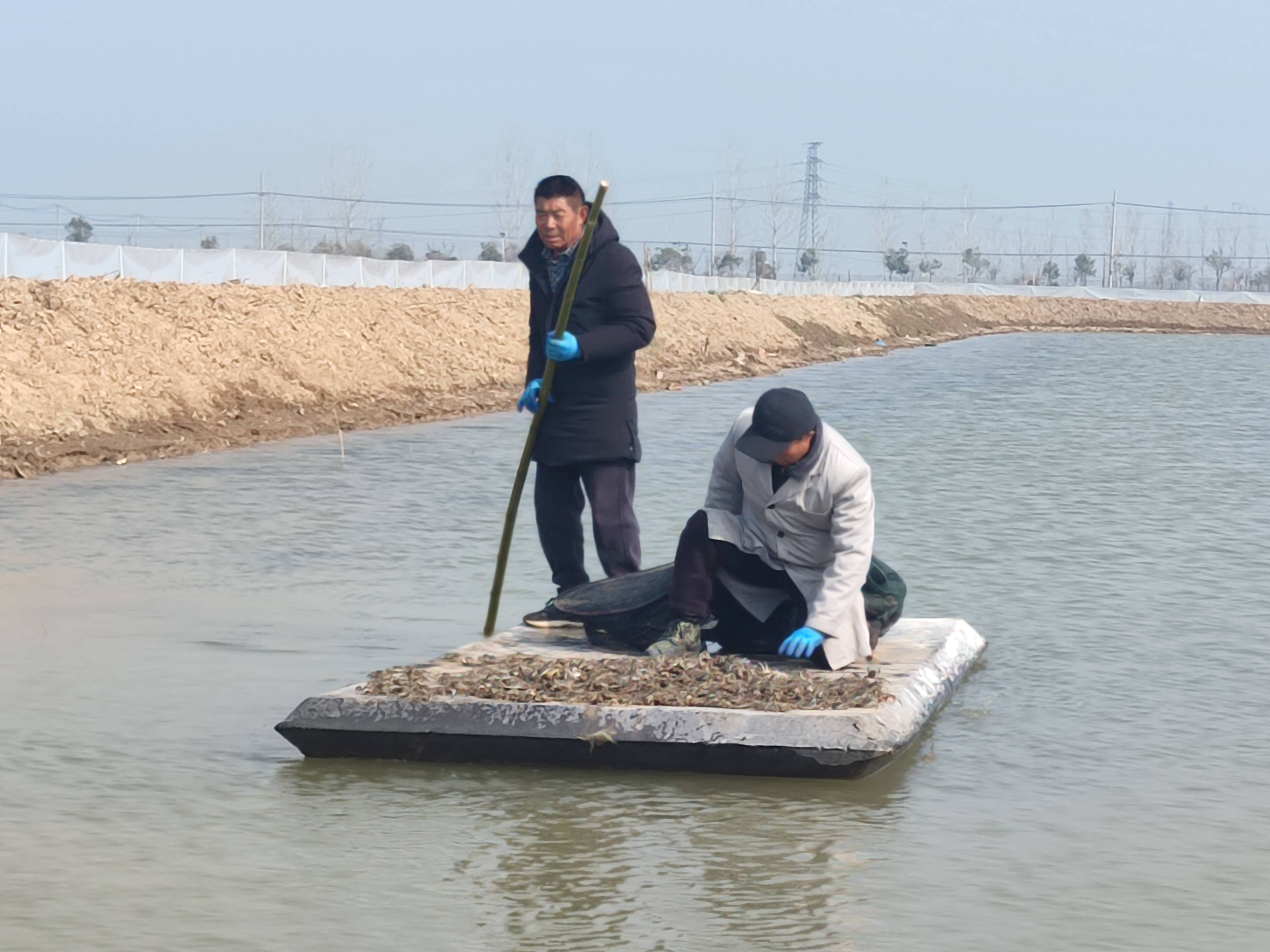 中国徐州网 - 新兴主流媒体 徐州城市门户